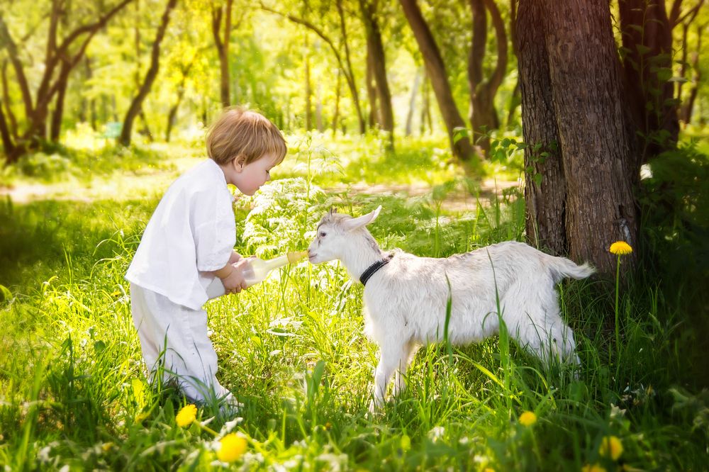 Photograph by Валерия Федотова