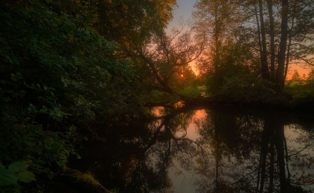 Photograph by Михаил Кушнер