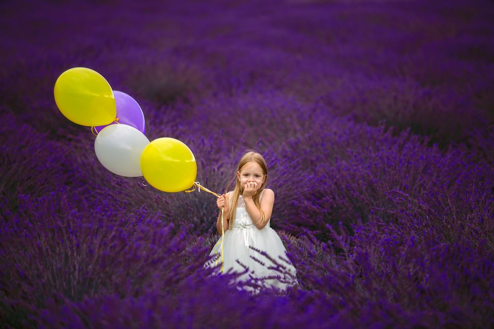 В лавандовом поле