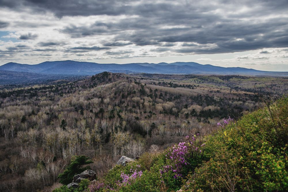 Весенний Хехцир