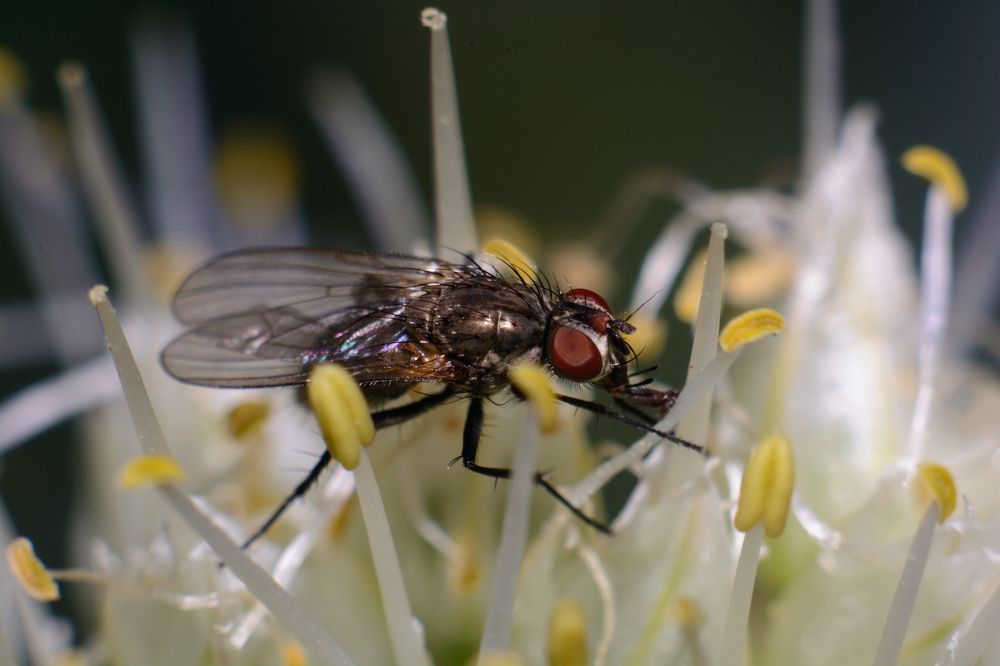 Photograph by Владимир Янчук