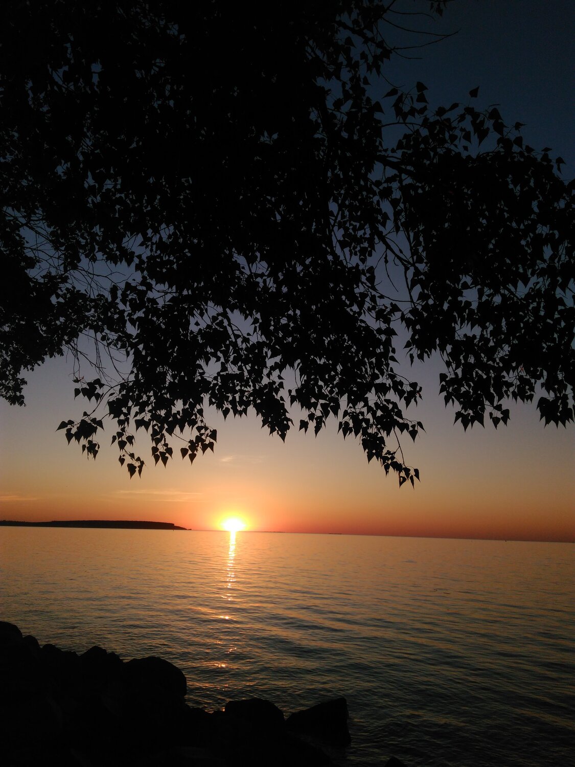 Photo #2399970