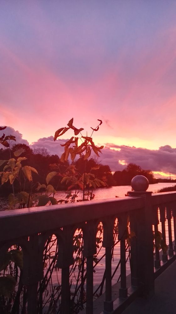 Под шуршание листвы