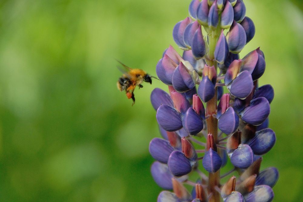 Photograph by Ольга Веткина