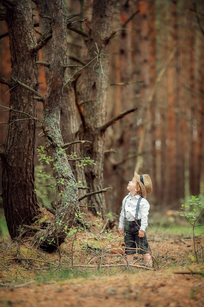 Лука в дремучем Брянском лесу