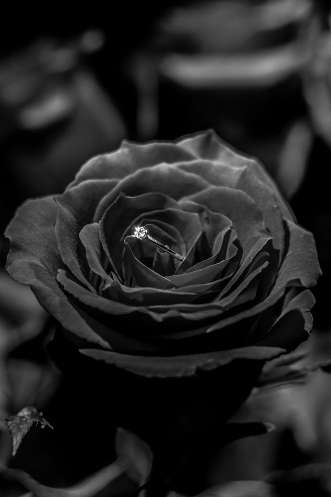 предложение