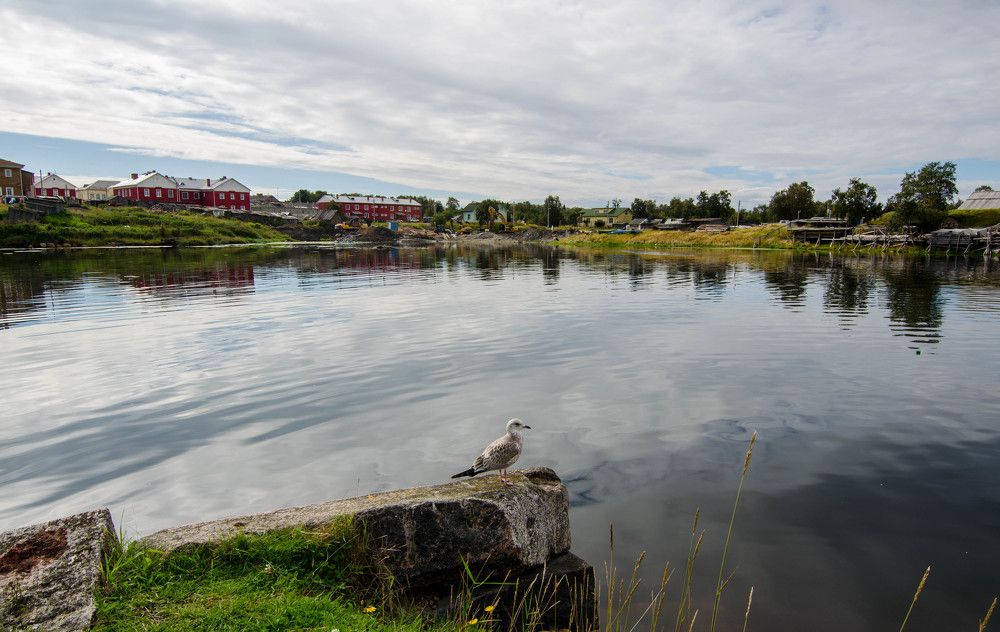 Бухта благополучия