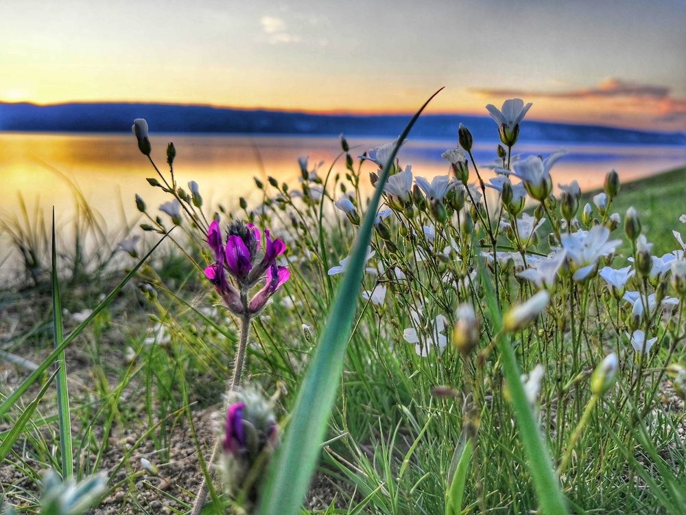 Природа Байкала