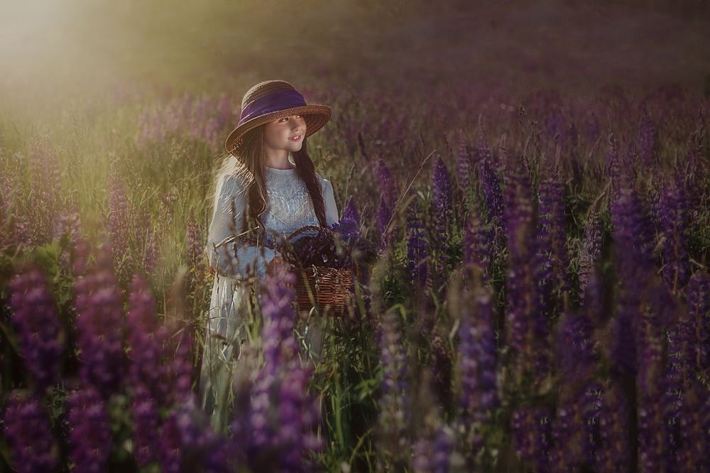 Люпиновая любовь