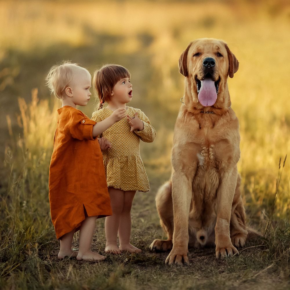 большой друг