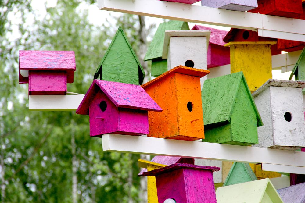 Новоселье для пернатых!