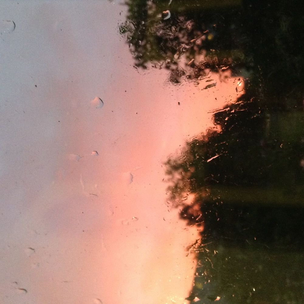 Photo #2401468
