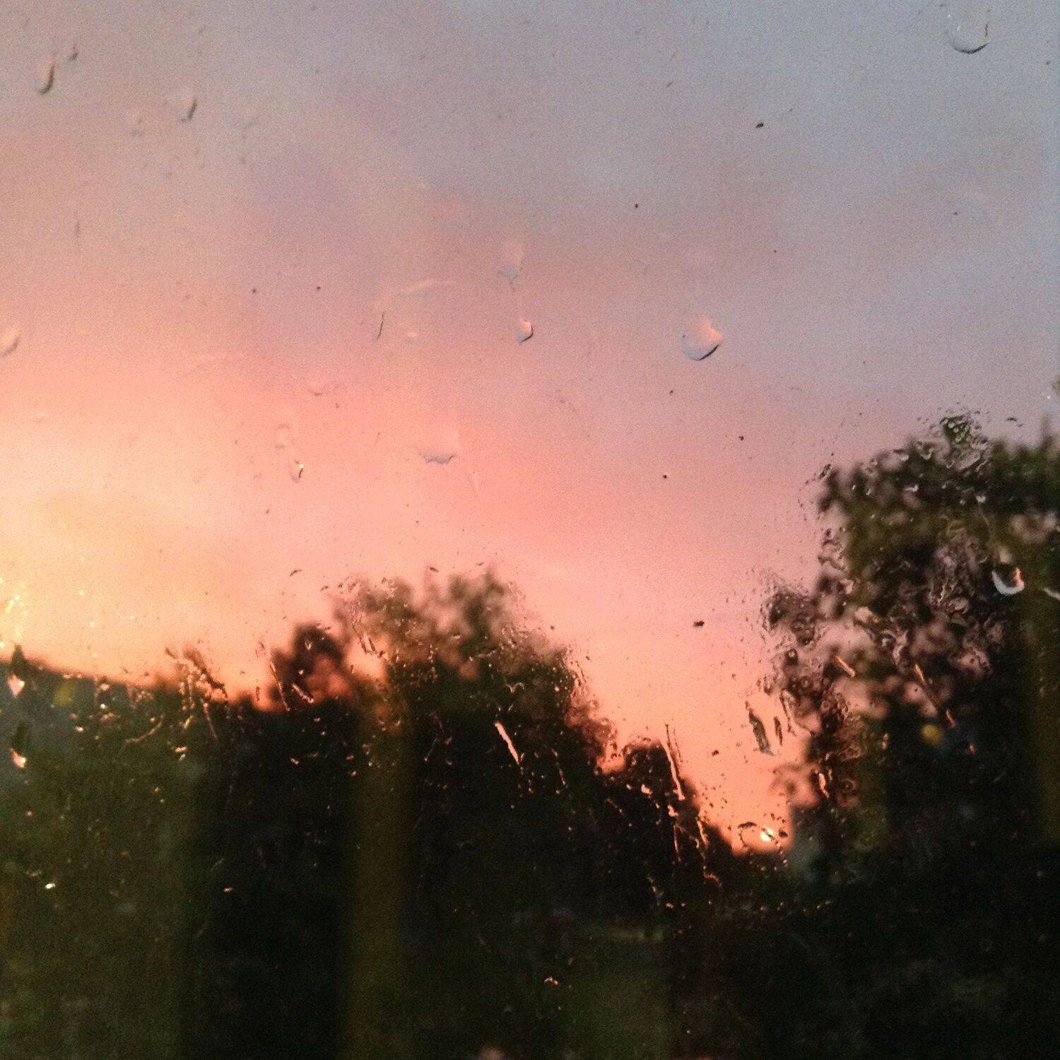 Photo #2401468