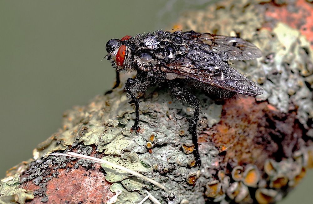 Photograph by Игорь Осипов