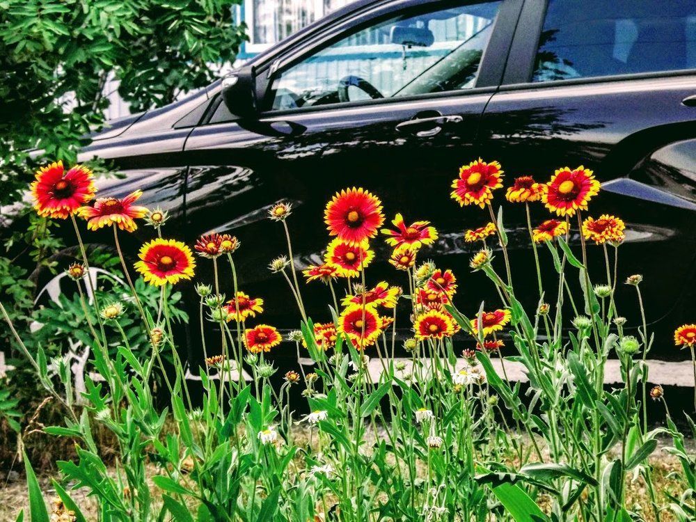 Черный, красный, золотой - цвета флага Германии