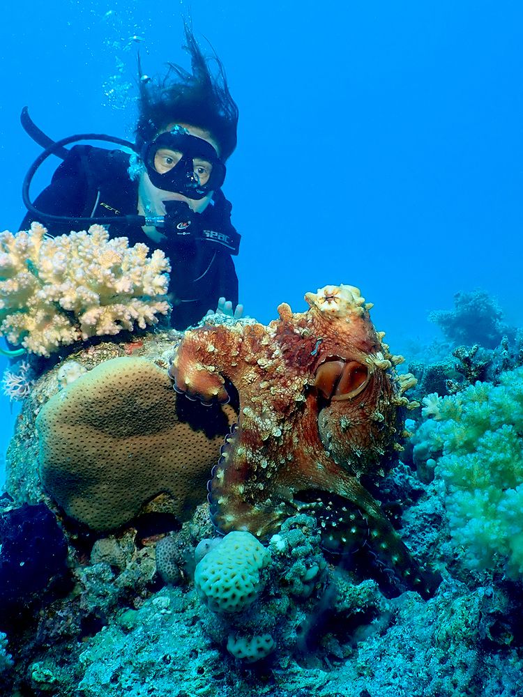 Девочка с осьминогом