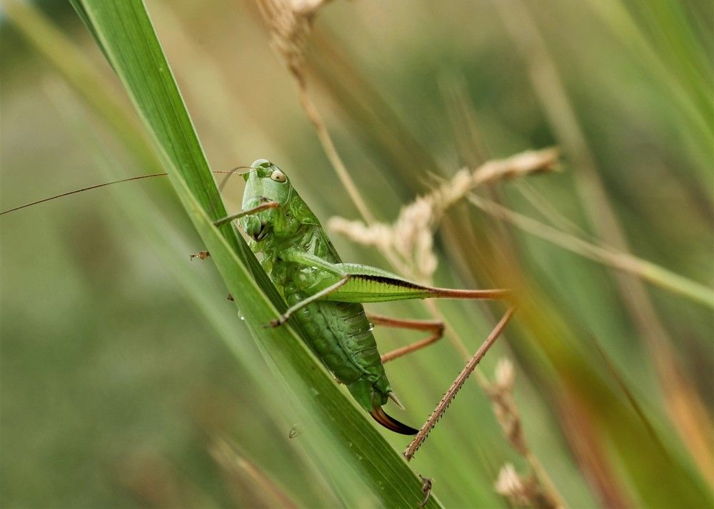 Photograph by Наталия Маслова