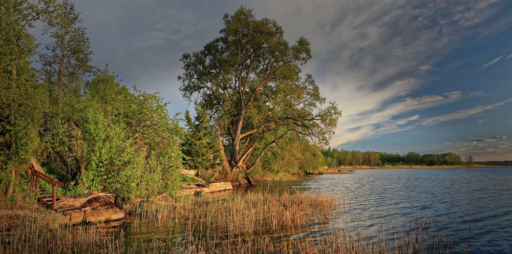 Безмятежность.