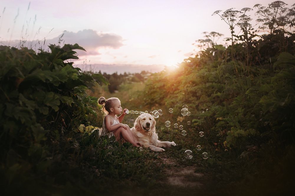 Одним чудесным летним вечером ... =)