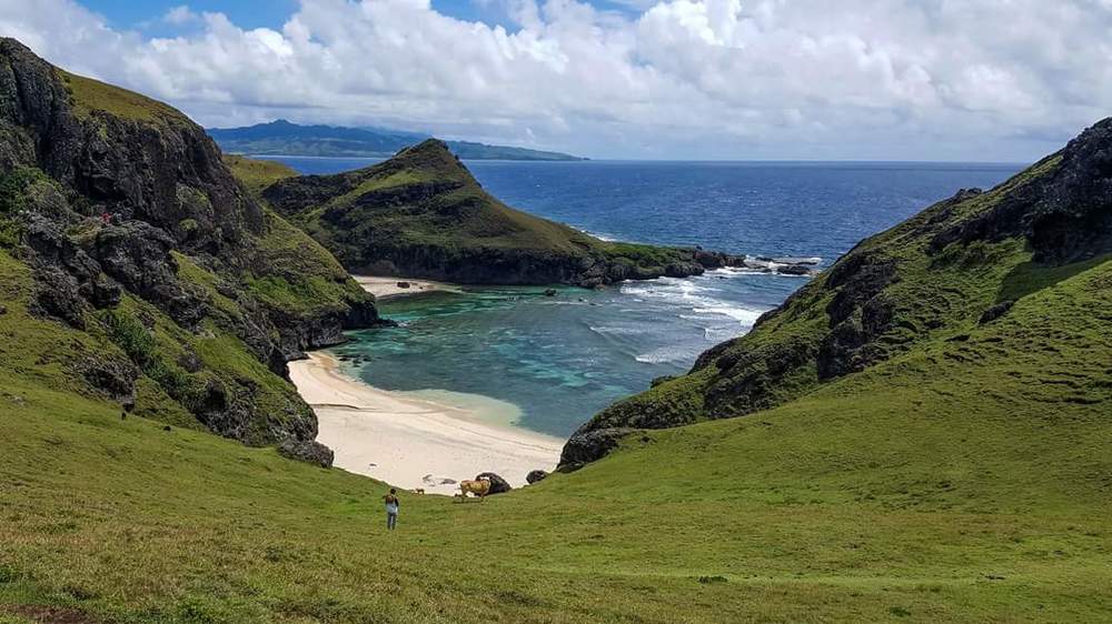 Greens meets the Blues