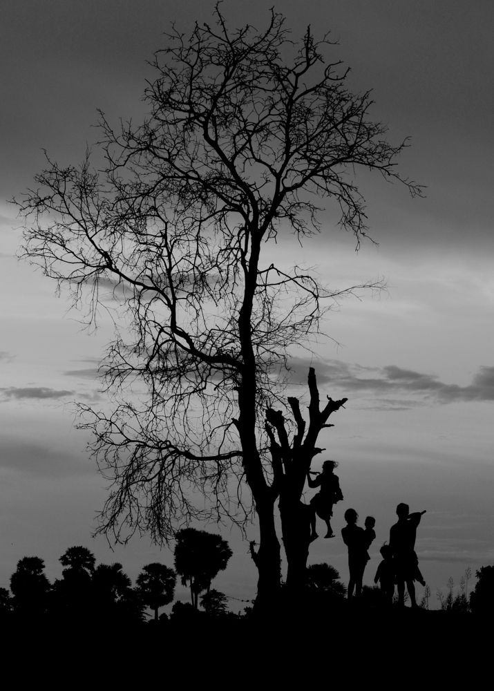 People's life with Tree and Climate Change