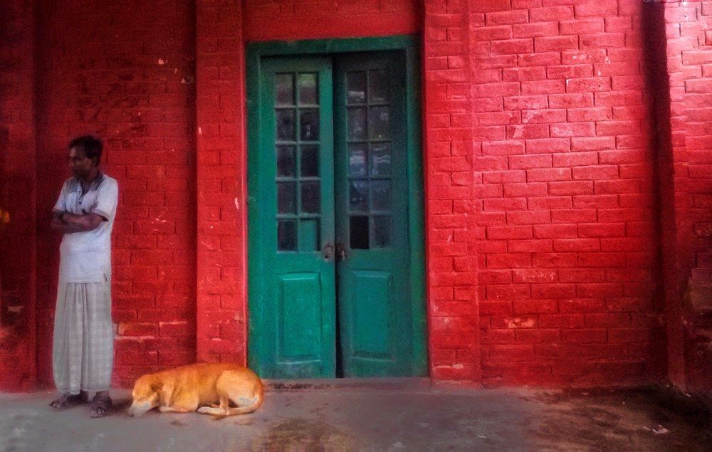 Devoted...