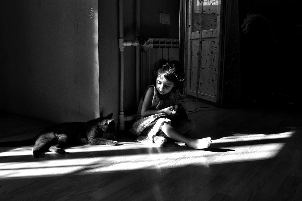 Маленькая девочка и кот 1