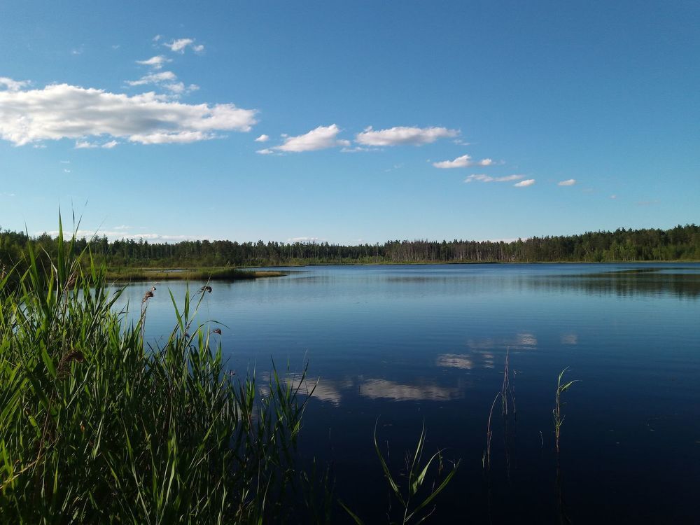 Photograph by Алексей Федулов