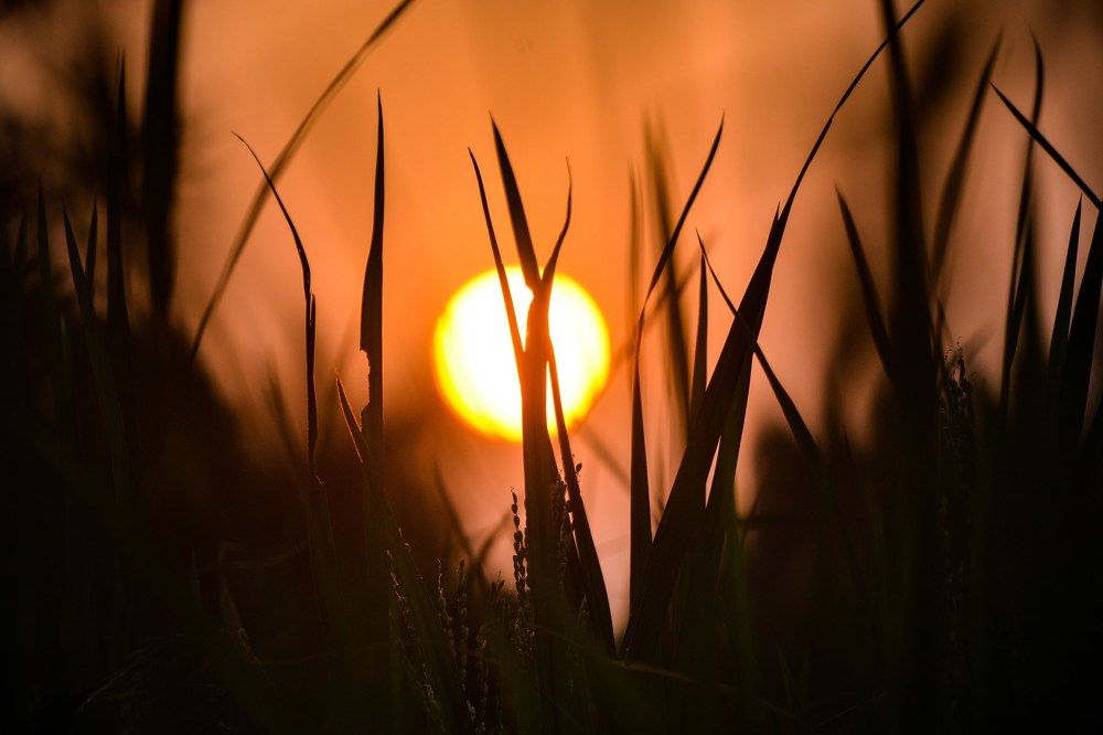 The setting sun.