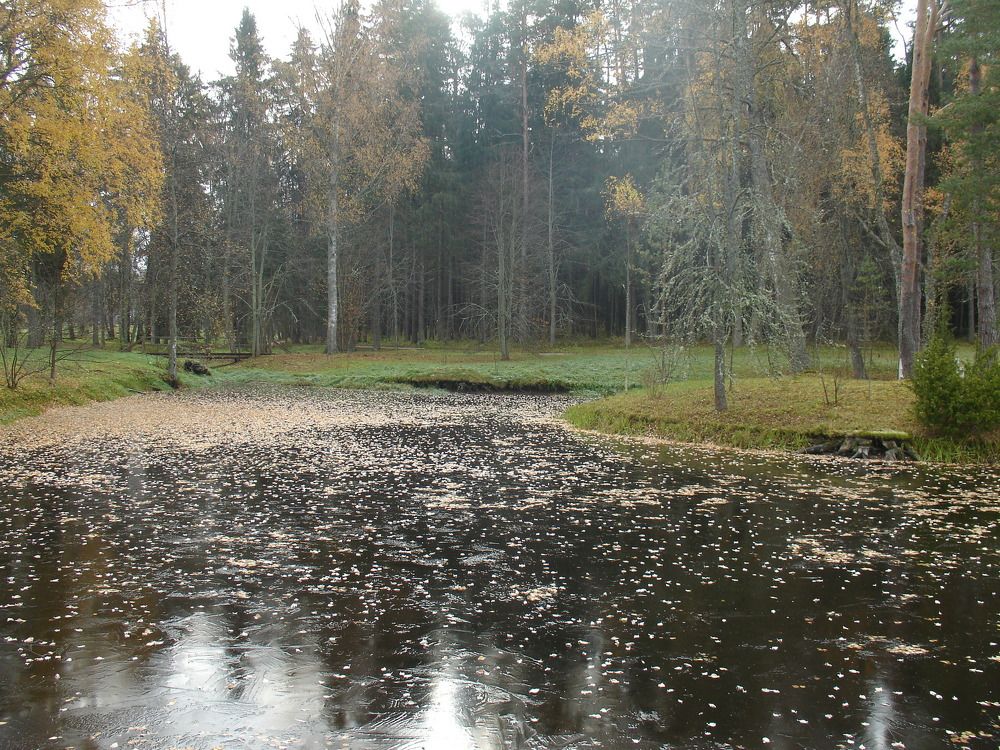 Первые заморозки в Михайловском