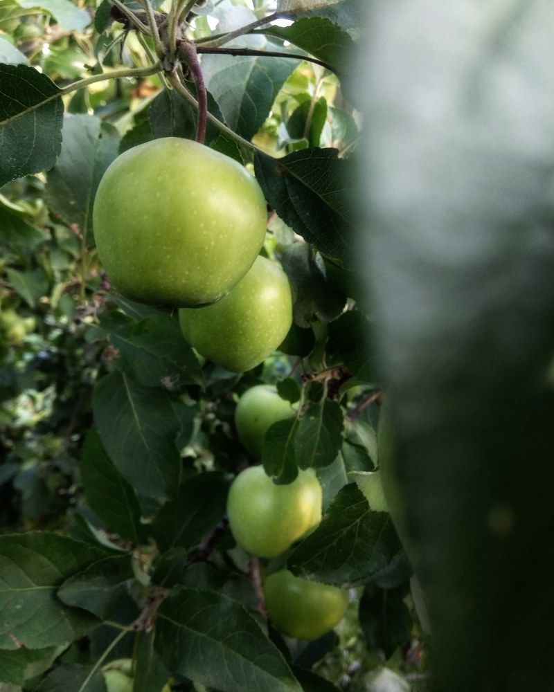 Под разными углами цвета играют.