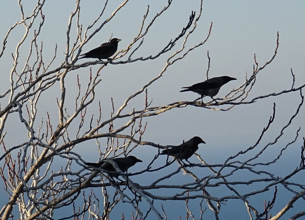 Photograph by Александр Малиновский