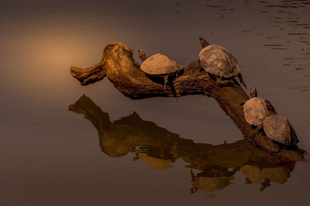 When life is in slow mode !!