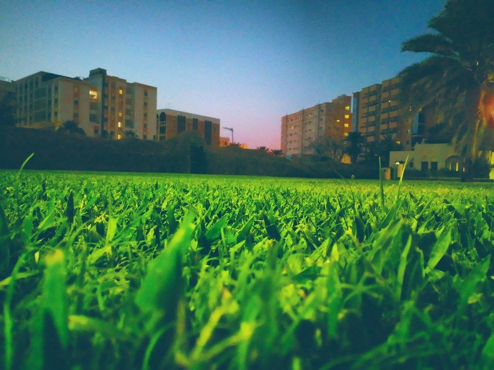 Residential Pic