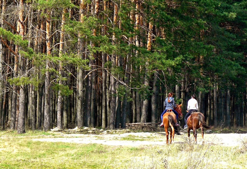 Photograph by леонид натапов