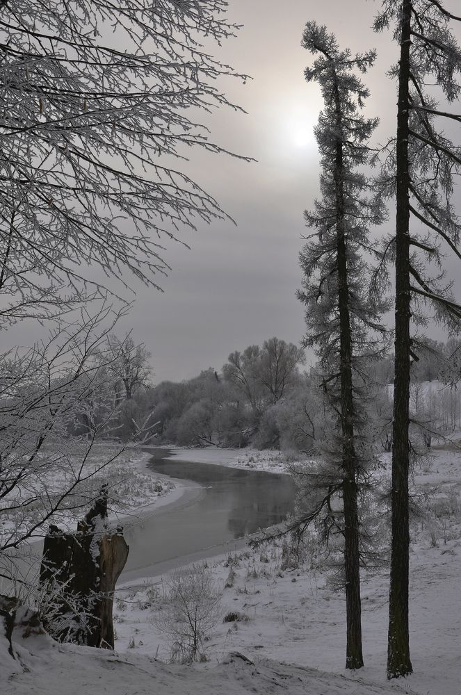 Полярная ночь