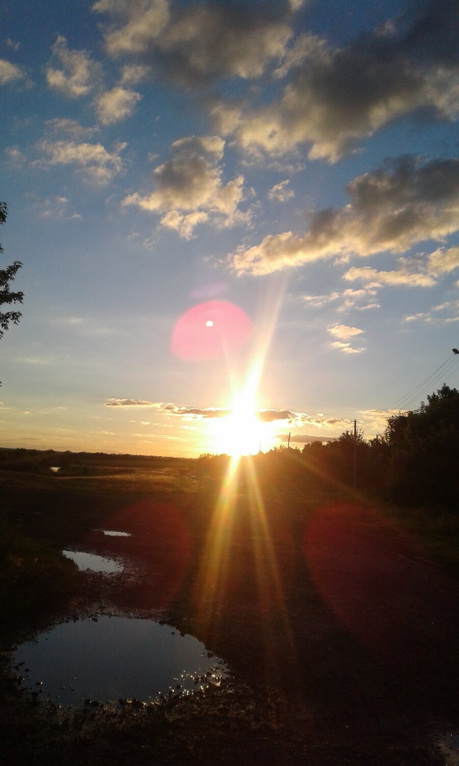 Photo #2403211