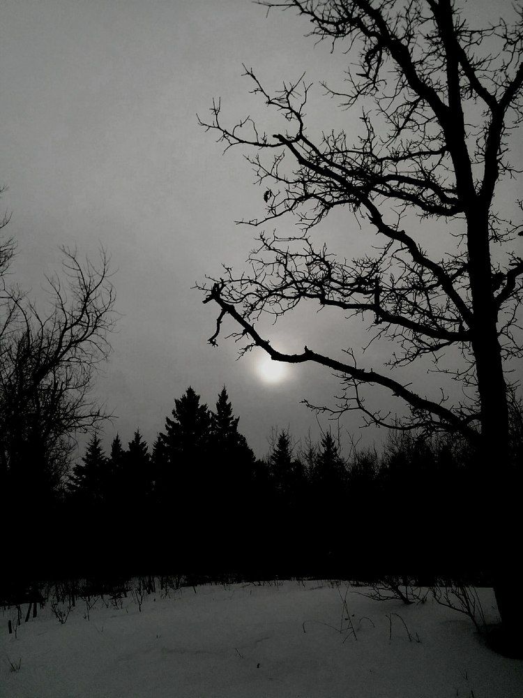 Sun Within Darkness