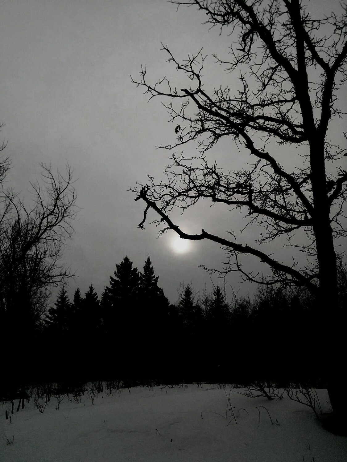 Sun Within Darkness