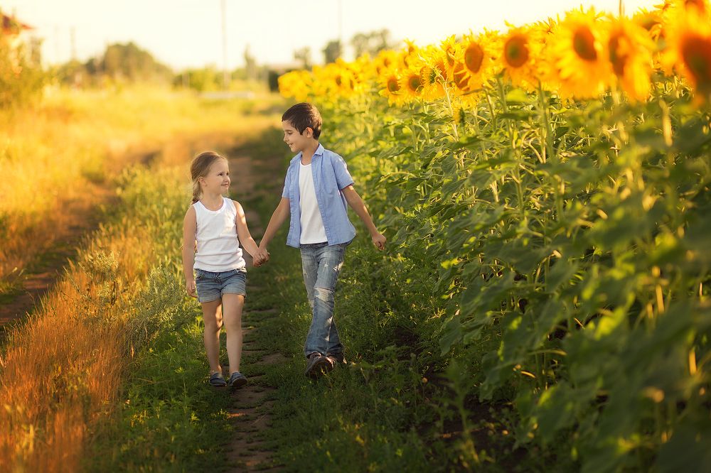 Солнечный вечер