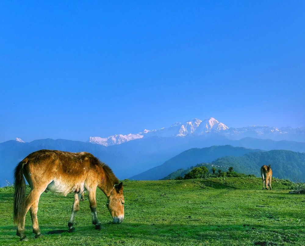 Simple but beautiful