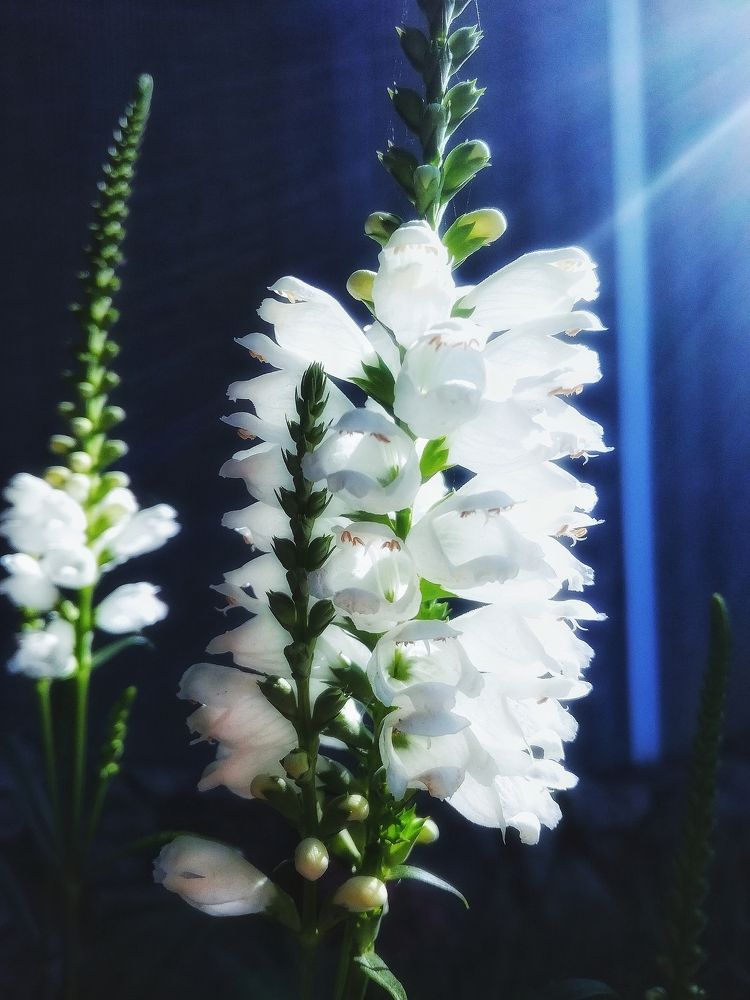 Photograph by Нина Писклова