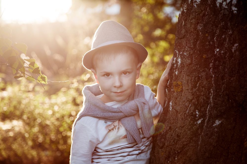 В лучах вечернего солнца