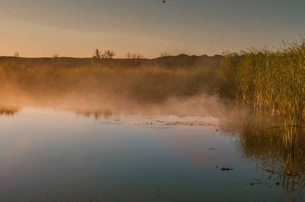 Туманное утро