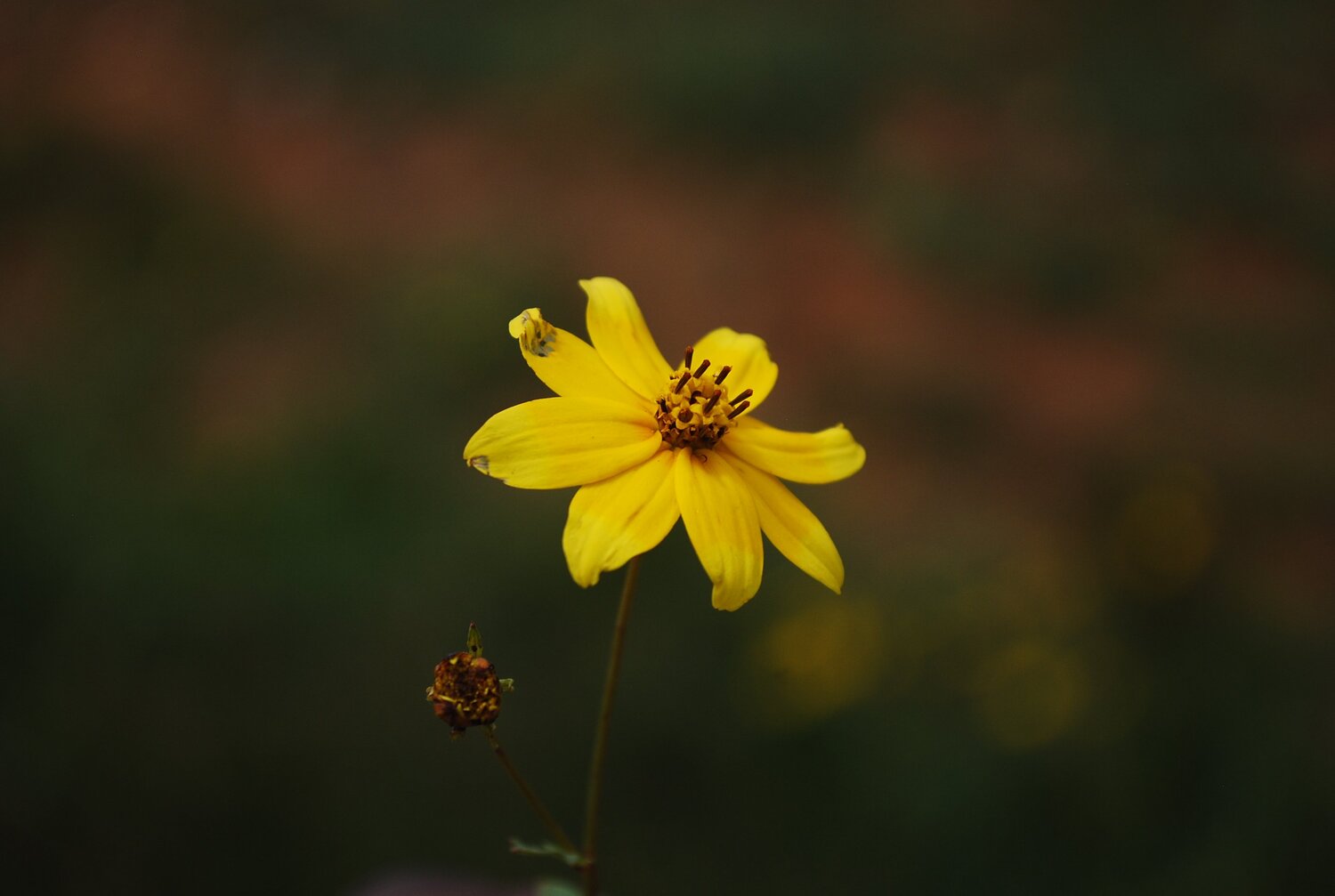 Hope