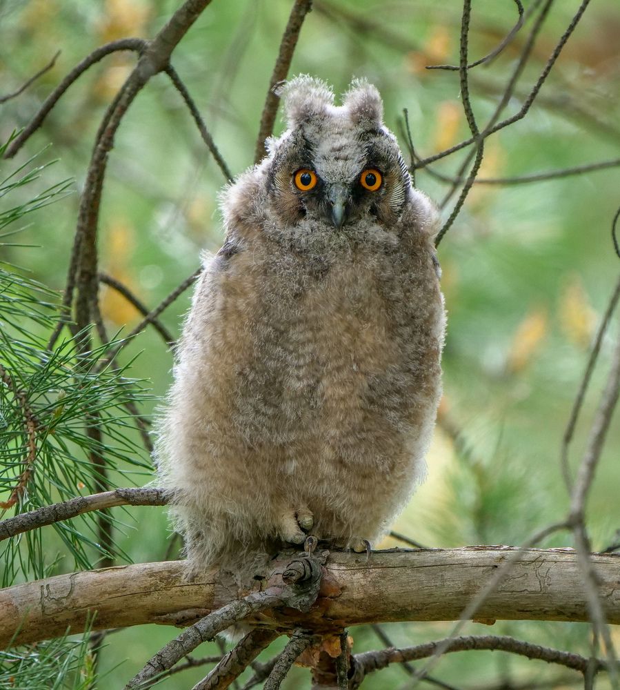 Дождик однако...