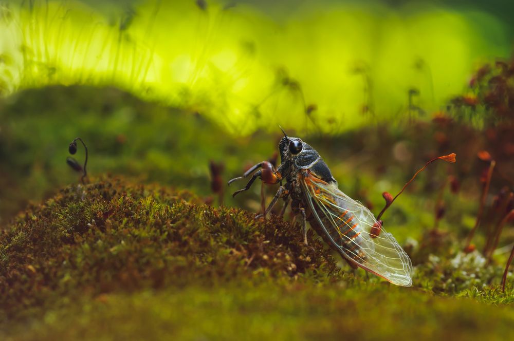 Photograph by Тараненко Анжелика