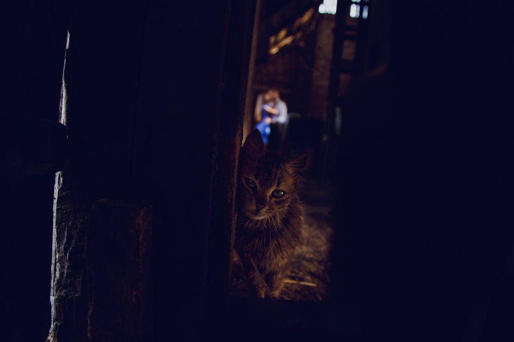 Photograph by Мищук