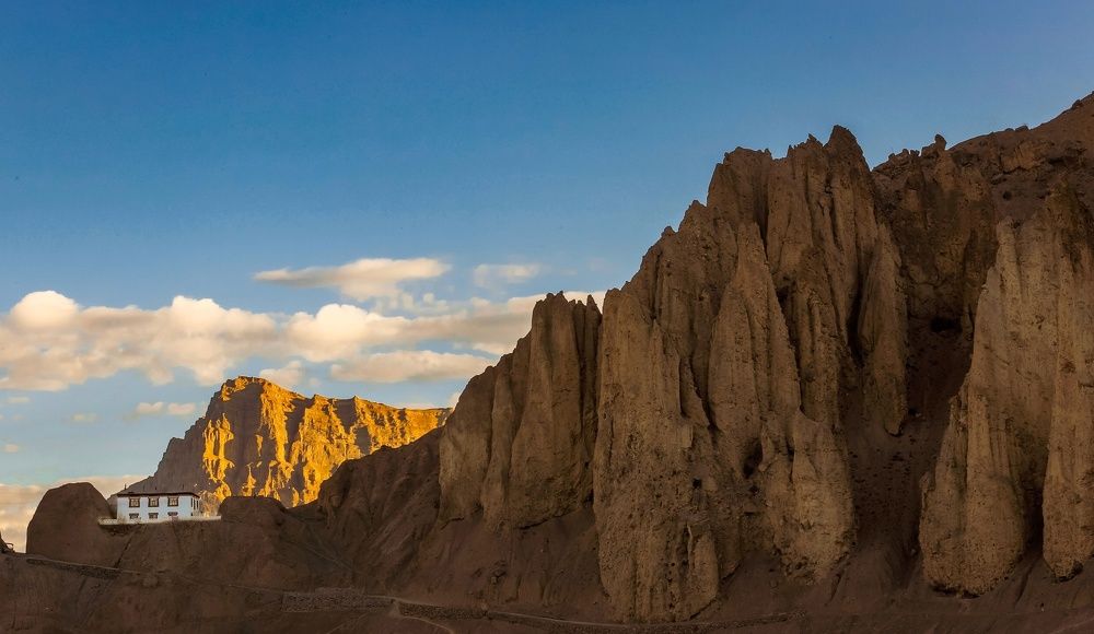 " Blissful Morning "