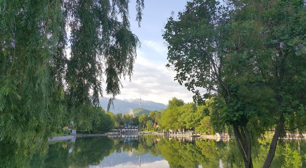 Утро в парке